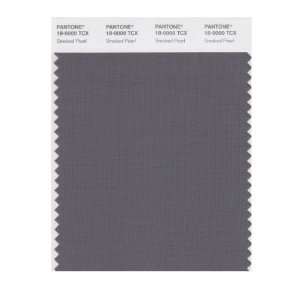  PANTONE SMART 18 0000X Color Swatch Card, Smoked Pearl 