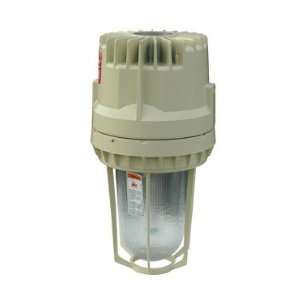 Explosion Proof Light   175W Metal Halide   16,000 Lumen   Class I,II 