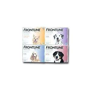   for Dogs, Orange, Up to 22lbs. 12 Month Supply