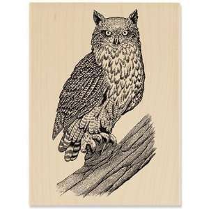  Sketched Owl   Rubber Stamps: Arts, Crafts & Sewing