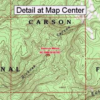  USGS Topographic Quadrangle Map   Bancos Mesa, New Mexico 