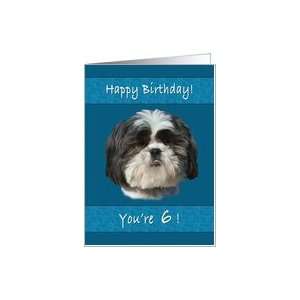  Birthday, 6th, Shih Tzu Dog Card: Toys & Games