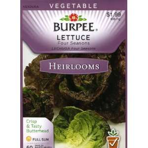  Burpee 52209 Heirloom Lettuce, Head Four Seasons Seed 