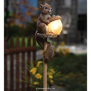  Sammy Squirrel Solar Outdoor Light: Everything Else