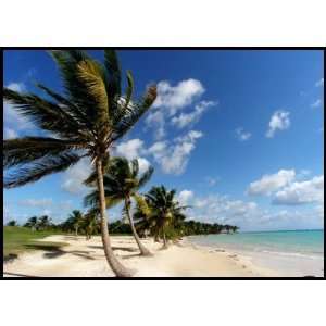  Tropical Beach Postage: Office Products