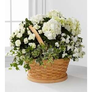 Whispers Of Peace Sympathy Basket   Best Grocery & Gourmet Food