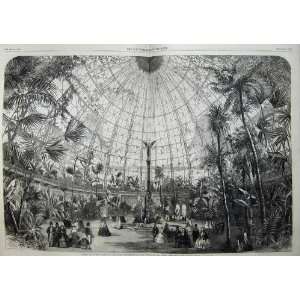   1859 Winter Garden Palace People Muswell Hill Plants