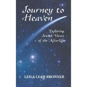  Jewish Views of the Afterlife [Hardcover] Leila Leah Bronner Books