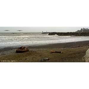  Brookings Beach   Southern Oregon Fine Art Photograph 