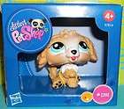 Littlest Pet Shop~#1701 LABRADOODLE SPECIAL EDITION PUPPY DOG RARE~LPS 
