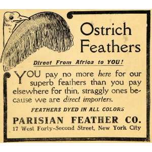  1910 Ad Ostrich Feathers Africa Parisian Fashion Bird 