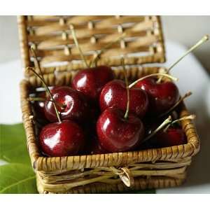 Organic Cherries 2 lb  Grocery & Gourmet Food