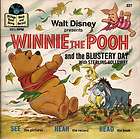 Disneys Winnie The Pooh & the Blustery Day Record Book  