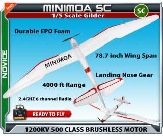 MiniMoa Glider RTF Radio Controled Airplane includes 2.5 Ghz 6 Channel 
