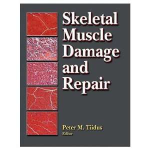  Skeletal Muscle Damage And Repair Mechanisms 