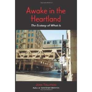  Awake in the Heartland The Ecstasy of What Is [Paperback 