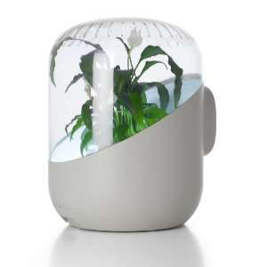  ANDREA: Plant based Air Purifier (White): Home & Kitchen