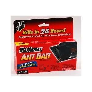  Hot Shot MaxAttrax Ant Bait 4s: Health & Personal Care