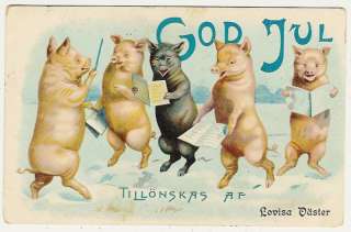 Pigs, Pig Band Master and Singing Pigs, old postcard  