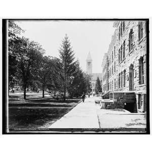    Morrill Hall,the library,Cornell University