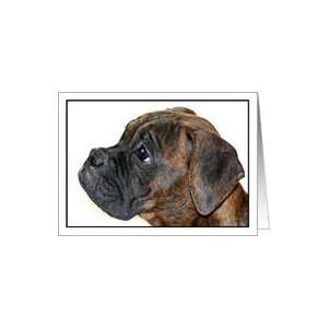 Brindle Boxer Puppy Card
