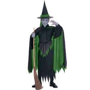  Wizard of Oz Kids Wicked Witch Costume Toys & Games