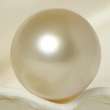 NEW LOCATION! GIANT AAA GRADE ROUND CHAMPAGNE SOUTH SEA PEARL ~ RAJA 