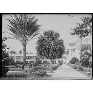  In the gardens,Colonial Hotel,Nassau,Bahamas