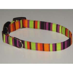 : Black Purple Green Orange Halloween Stripes Dog Collar X Small 1/2 