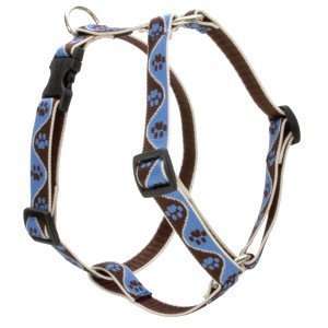Lupine Medium Dog Collars & Leashes 3/4 Adjustable Harness for 