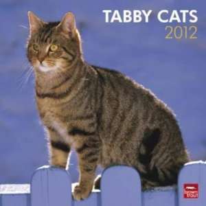  Tabby Cats 2012 Wall Calendar 12 X 12