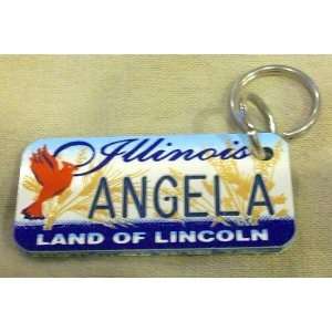  Illinois Land of Lincoln Angela Keychain, Key Holder 