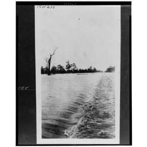  Near Ferguson,Phillips County,Arkansas,AR,1927 Flood
