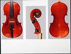 Very fine FRENCH violin by COLLIN MEZIN 1894  
