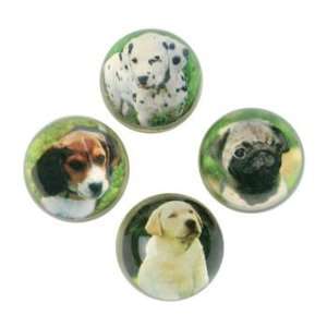    Puppy Bouncing Balls   Games & Activities & Balls: Toys & Games