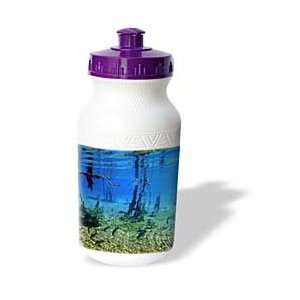   freshwater spring, Aquario natural   Water Bottles