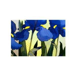  John Newcomb   Faceted Irises Giclee