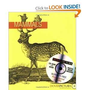  Mammals (Dover Pictura Electronic Clip Art) [Paperback 