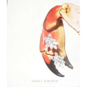   Jewelry Earring Crab Claw Magazine Print Ad Harry Winston Books