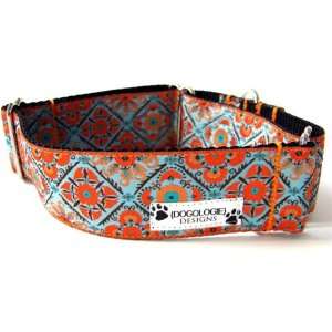   Orange and Blue 1.5 Martingale Custom Dog Collars: Pet Supplies