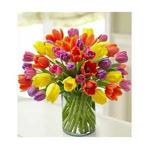 Flowers by 1800Flowers   Enchanting Tulip Bouquet  Grocery 