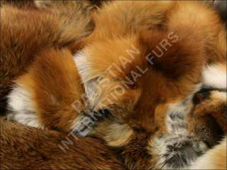 516 Red Fox fur blanket   real fox fur rug  