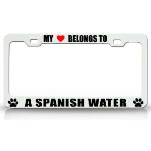 MY HEART BELONGS TO A SPANISH WATER Dog Pet Steel Metal Auto License 