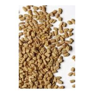   Wild Harvest   Fenugreek seed, ORGANIC   1 lb.: Health & Personal Care