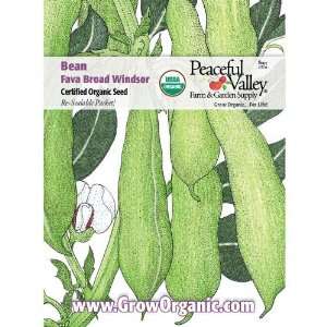  Organic Bean Seed Pack, Broad Windsor Fava Patio, Lawn 