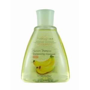   Size Nutrient Shampoo   Fresh Banana Case Pack 48 