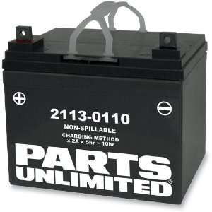  Parts Unlimited AGM Maintenance Free Battery   YTX14 BS 