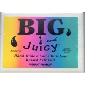  Big & Juicy Rainbow Dye Inkpad 5 Colors Vibrant Primary 