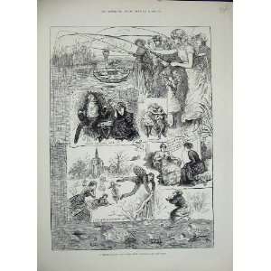  1884 Valentines Day Ladies Proposing Men Leap Year: Home 