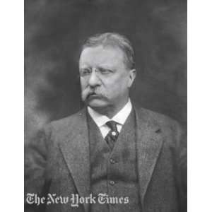  Theodore Roosevelt Portrait